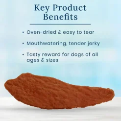 Blue Buffalo True Chews Premium Jerky Cuts Steak Jerky Dog Treats