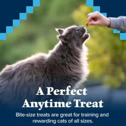Blue Buffalo Wilderness Chicken & Duck Moist Treats For Cats (2 oz)