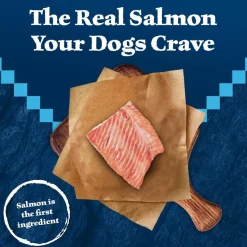 Blue Buffalo Wilderness Trail Treats Salmon Biscuits for Dogs (10 oz)