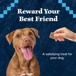 Blue Buffalo Wilderness Trail Treats Salmon Biscuits for Dogs (10 oz)
