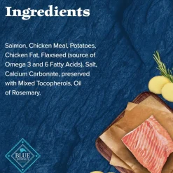 Blue Buffalo Wilderness Trail Treats Salmon Biscuits for Dogs (10 oz)