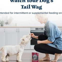 Blue Buffalo Wilderness Trail Treats Salmon Biscuits for Dogs (10 oz)