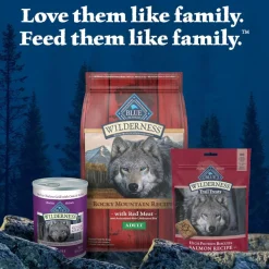 Blue Buffalo Wilderness Trail Treats Salmon Biscuits for Dogs (10 oz)