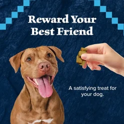 Blue Buffalo Wilderness Wild Bits Chicken Recipe Training Treats for Dogs (4 oz)