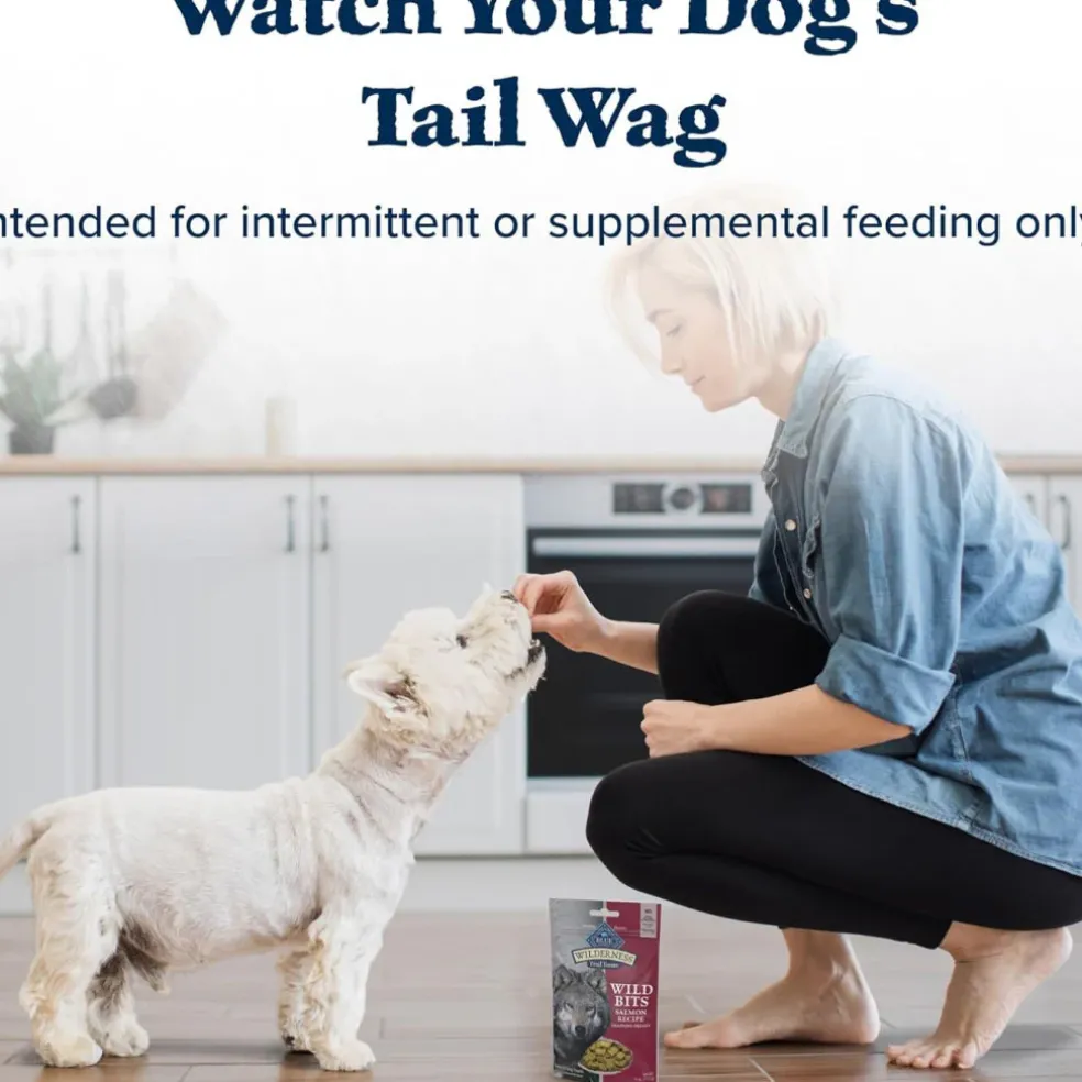 Blue Buffalo Wilderness Wild Bits Salmon Recipe Training Treats for Dogs (4 oz)