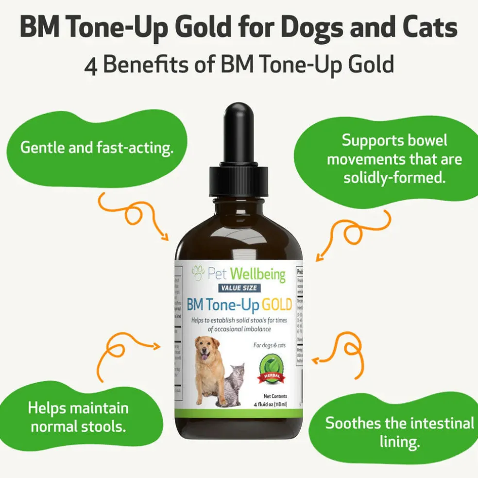BM Tone-Up Gold for Loose Stools in Dogs