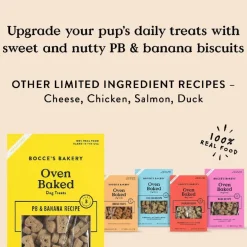 Bocce's Bakery Basics Peanut Butter & Banana Crunchy Biscuits For Dogs (14 oz)