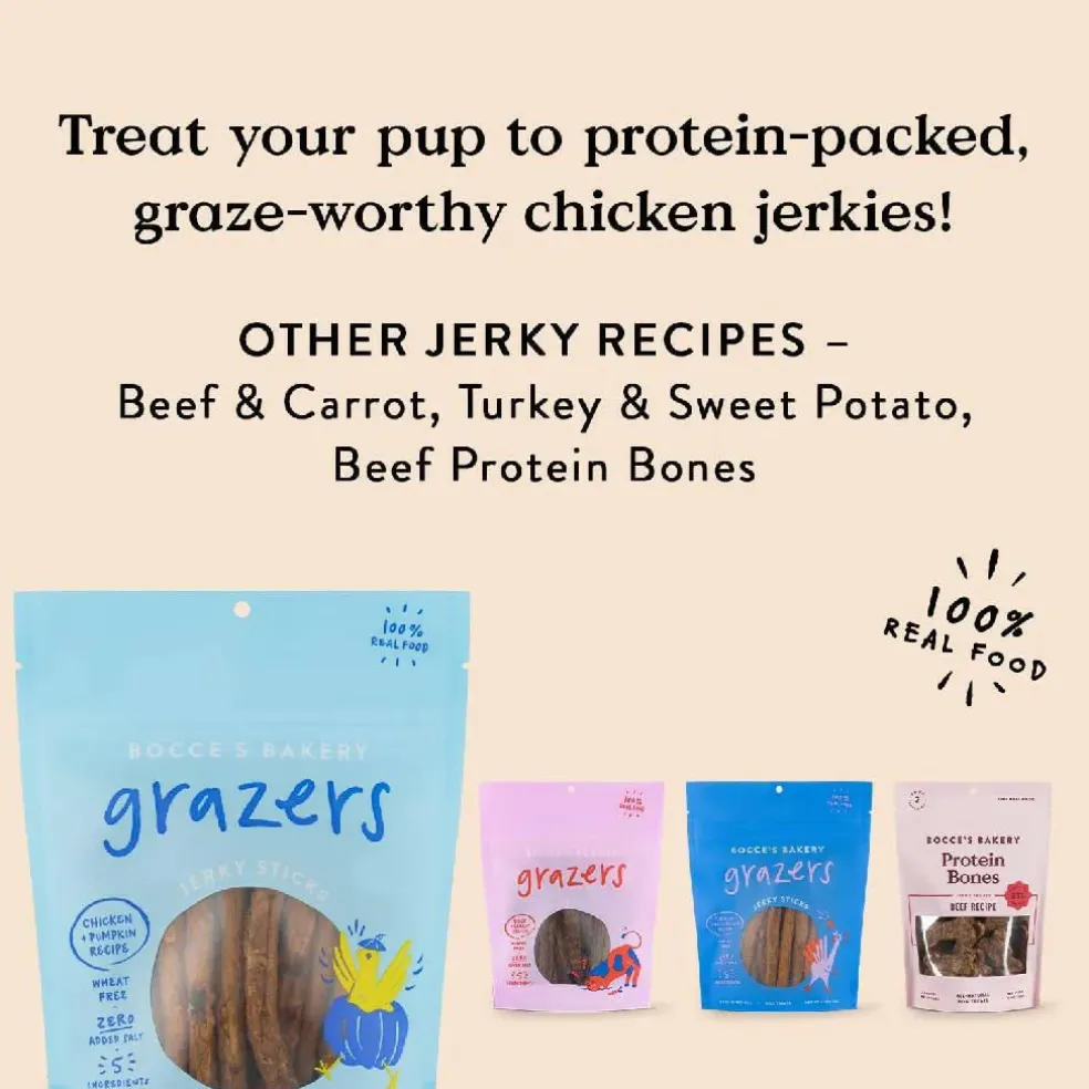 Bocce's Bakery Chicken & Pumpkin Jerky Sticks For Dogs (4 oz)