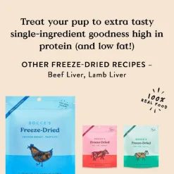 Bocce's Bakery Freeze Dried Chicken Breast Dog Treats (3 oz)