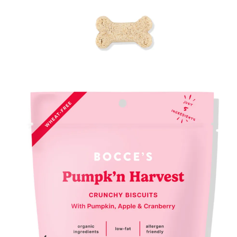 Bocce's Bakery Pumpk'n Harvest Pumpkin, Apple, & Cranberry Crunchy Biscuit Dog Treats (12 oz)