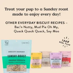 Bocce's Bakery Sunday Roast Crunchy Biscuits For Dogs (5 oz)