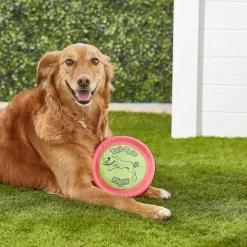 Booda Tail-Spin Flyer Soft Bite Frisbee Toy For Dogs- Color Varies