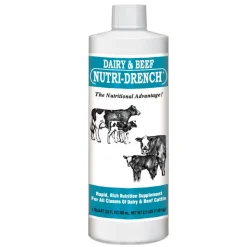 Bovidr Laboratories Nutri-Drench Dairy & Beef Supplement
