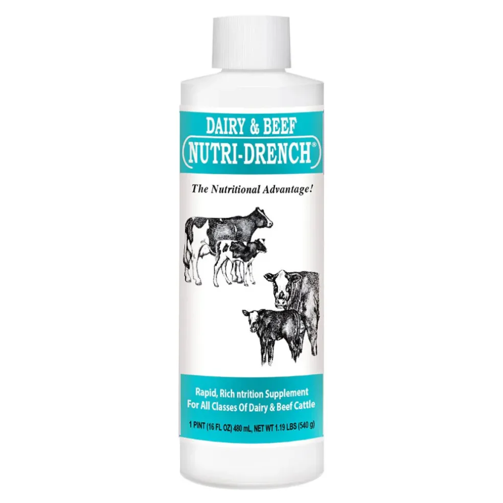 Bovidr Laboratories Nutri-Drench Dairy & Beef Supplement