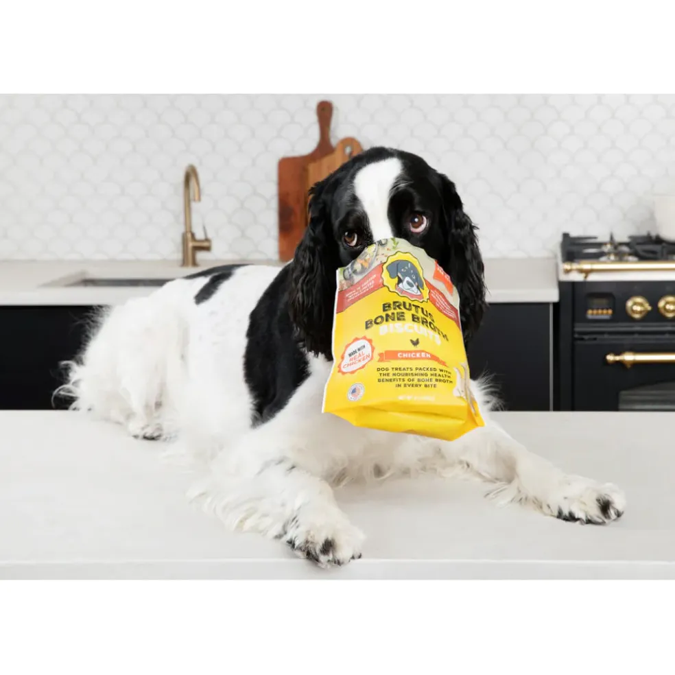 Brutus Broth Bone Broth Biscuits Chicken Recipe Dog Treats (8 oz)