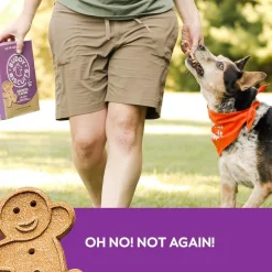 Buddy Biscuits Oven Baked Crunchy Chicken, Grilled Beef, and Sharp Cheddar Dog Treats (16 oz)