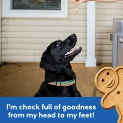 Buddy Biscuits Oven Baked Crunchy Bacon & Cheese Dog Treats