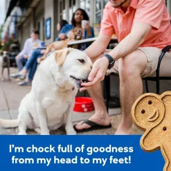 Buddy Biscuits Soft & Chewy Bacon & Cheese Dog Treats