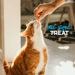 Buddy Biscuits Soft & Chewy Grain Free Tempting Tuna Cat Treats (3 oz)