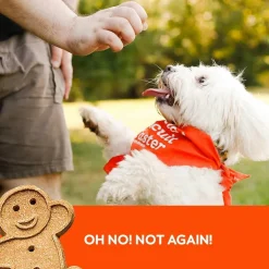Buddy Biscuits Soft & Chewy Peanut Butter Dog Treats