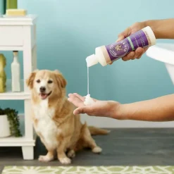 Buddy Rinse Lavender & Mint Hydrating Therapy Conditioner For Dogs (16 oz)