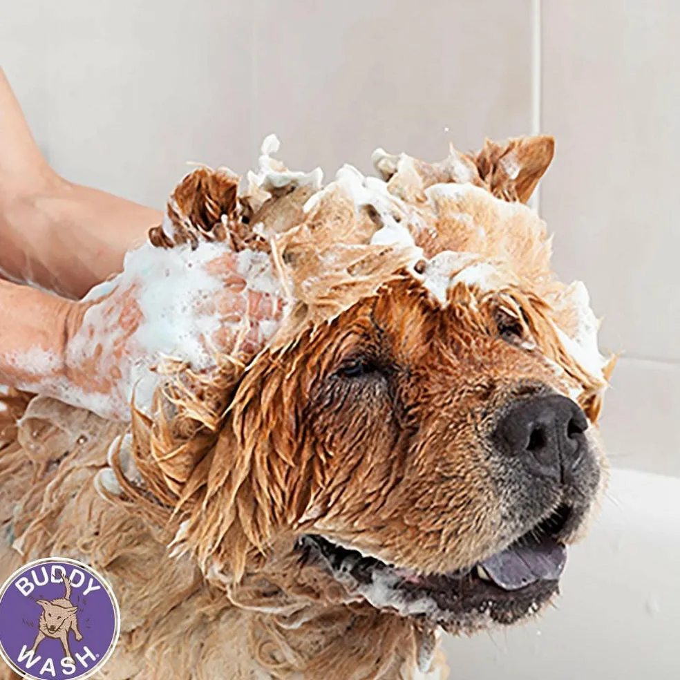 Buddy Wash Relaxing Green Tea & Bergamot 2-in-1 Shampoo + Conditioner For Dogs (16 oz)