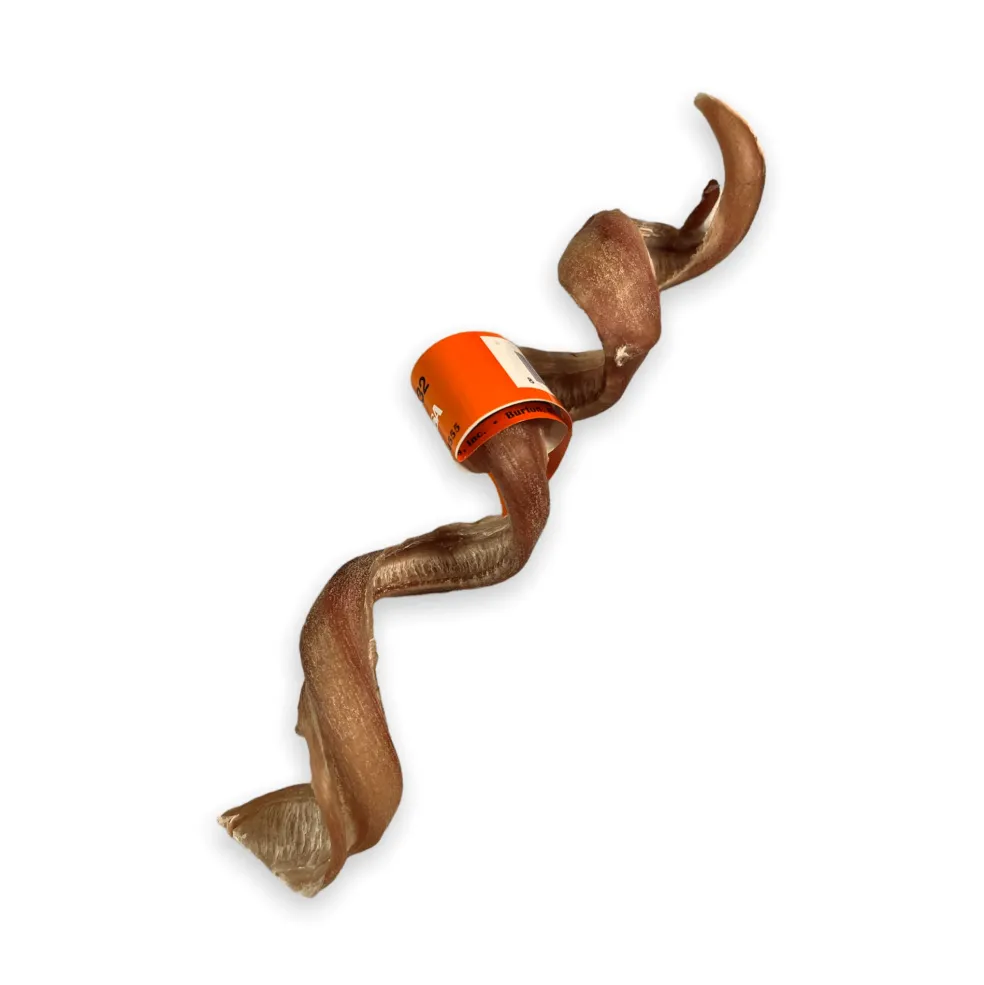Bully Spiral Spring - 7-9”