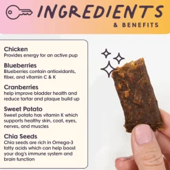 Bundle x Joy Chicken Superfood Jerky Bars for Dogs