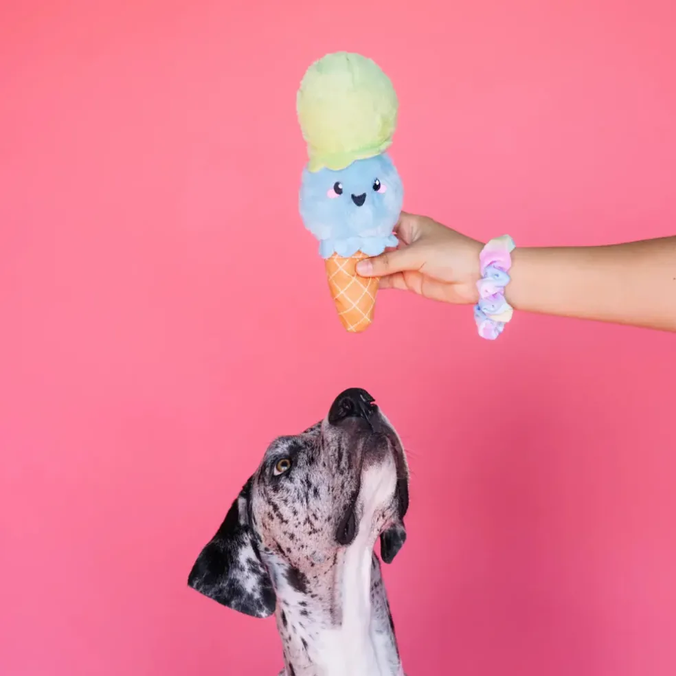 Bundle x Joy Ice Cream Cone Crinkle & Squeak Dog Toy