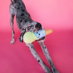 Bundle x Joy Ice Cream Cone Crinkle & Squeak Dog Toy