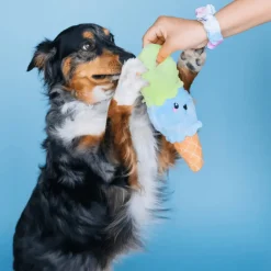 Bundle x Joy Ice Cream Cone Crinkle & Squeak Dog Toy