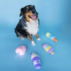 Bundle x Joy Ice Cream Cone Crinkle & Squeak Dog Toy
