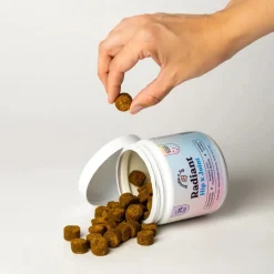 Bundle x Joy Radiant Hip& Joint Supplement for Dogs (90 soft chews)