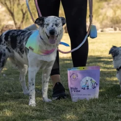 Bundle x Joy Salmon Superfood Jerky Bars for Dogs