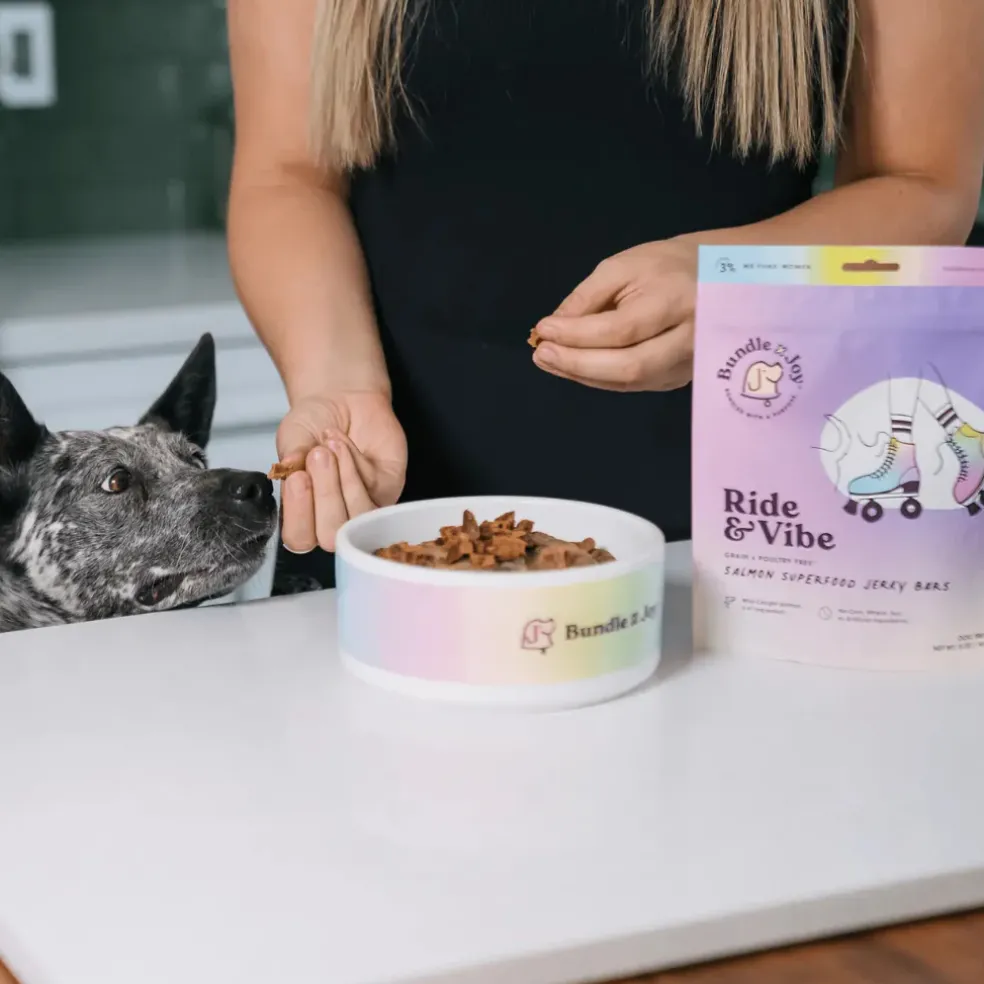 Bundle x Joy Salmon Superfood Jerky Bars for Dogs