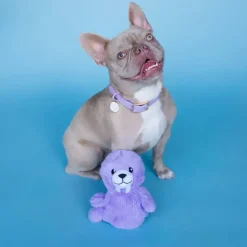 Bundle x Joy Walrus Cone Crinkle & Squeak Dog Toy