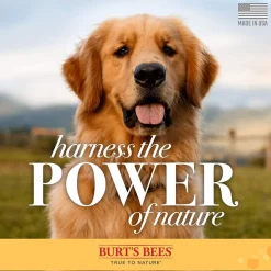 Burt's Bees Deodorizing Spray with Apple & Rosemary for Dogs, 10-oz