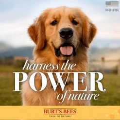 Burt's Bees Itch Soothing Shampoo with Honeysuckle & Aloe Vera, 16-oz