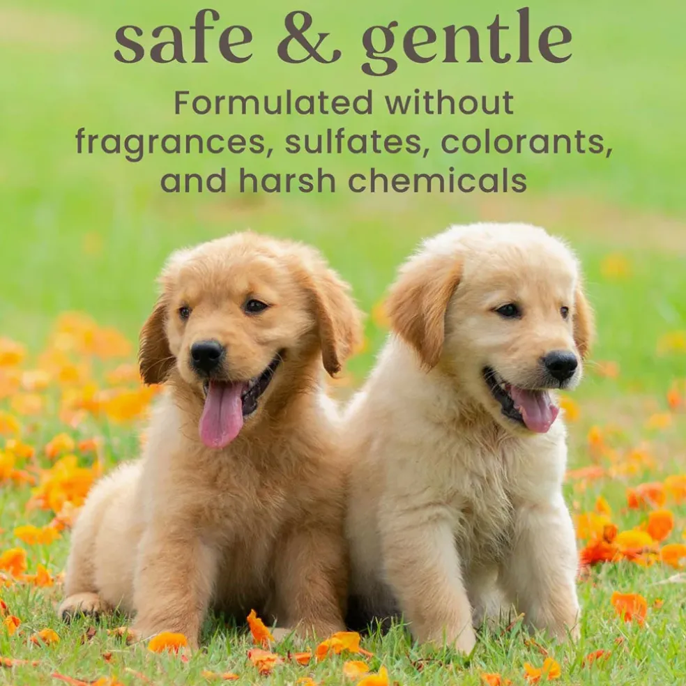 Burt's Bees Itch Soothing Spray with Honeysuckle for Dogs, 10-oz