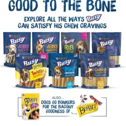Busy Bone Peanut Butter Flavor Long-Lasting Chew Small & Medium Dog Treats