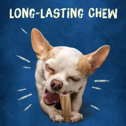 Busy Bone Tiny Long-Lasting Chew Xtra Small Dog Treats