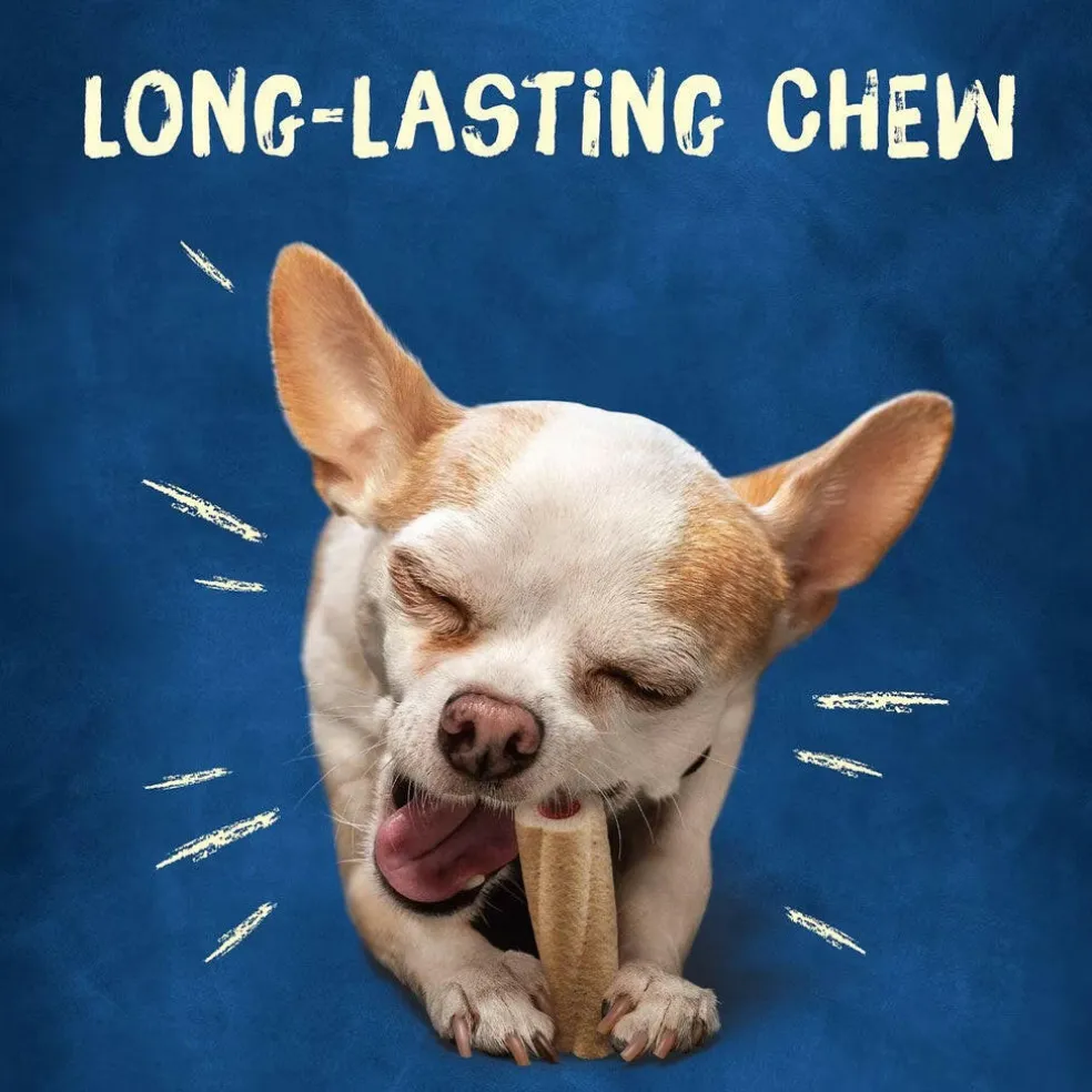 Busy Bone Tiny Long-Lasting Chew Xtra Small Dog Treats