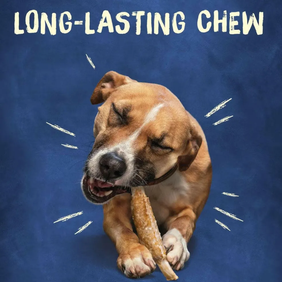 Busy Rib Hide Long-Lasting Beef Hide Chew Small/Medium Dog Treat, 6 count