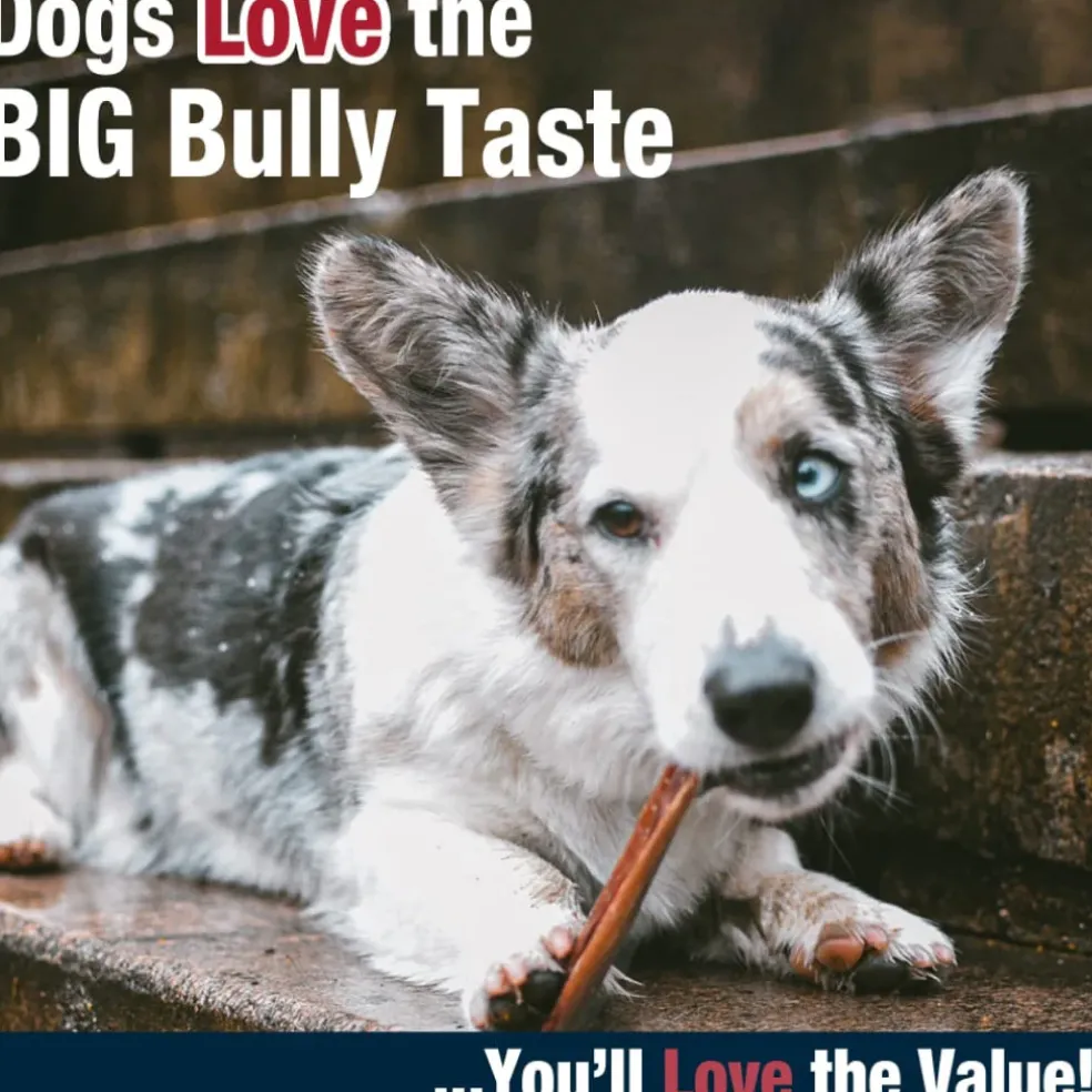 Cadet Bully Hide Sticks All-Natural Chews for Dogs, Large
