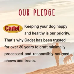 Cadet Bully Hide Sticks All-Natural Chews for Dogs, Large