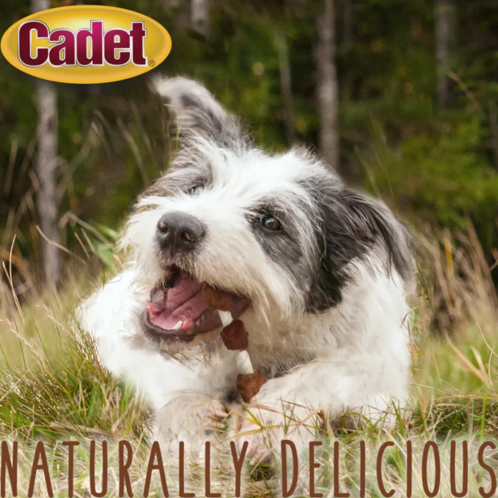 Cadet Gourmet Beef Hide Shish Kabob Dog Treats