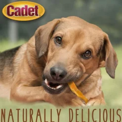 Cadet Gourmet Sweet Potato Fries Dog Treats