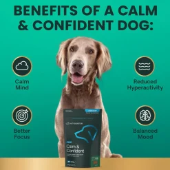 Calm & Confident Chews for Dogs Peanut Butter Flavor