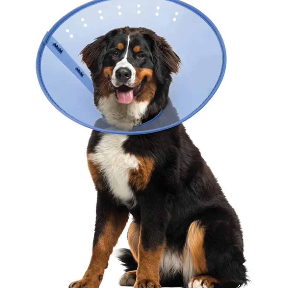Calm Paws Calming E-Collar for Dogs