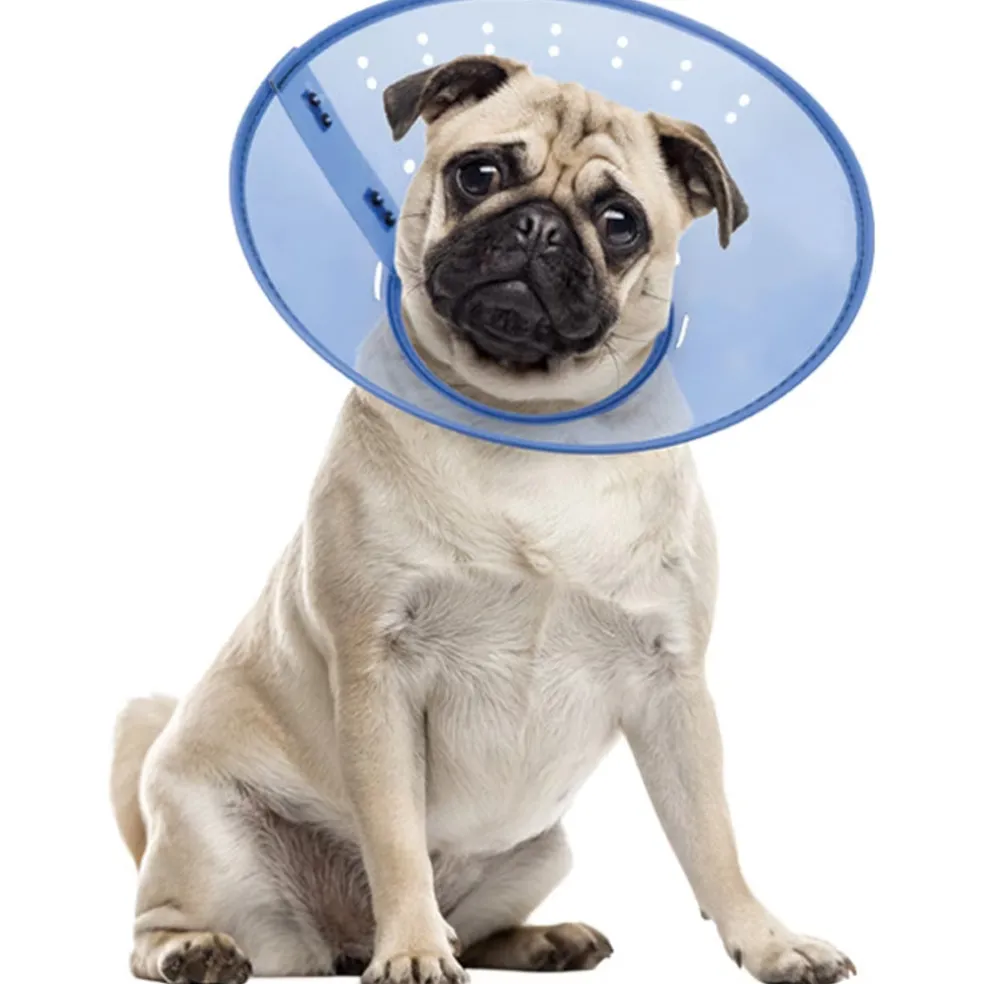 Calm Paws Calming E-Collar for Dogs